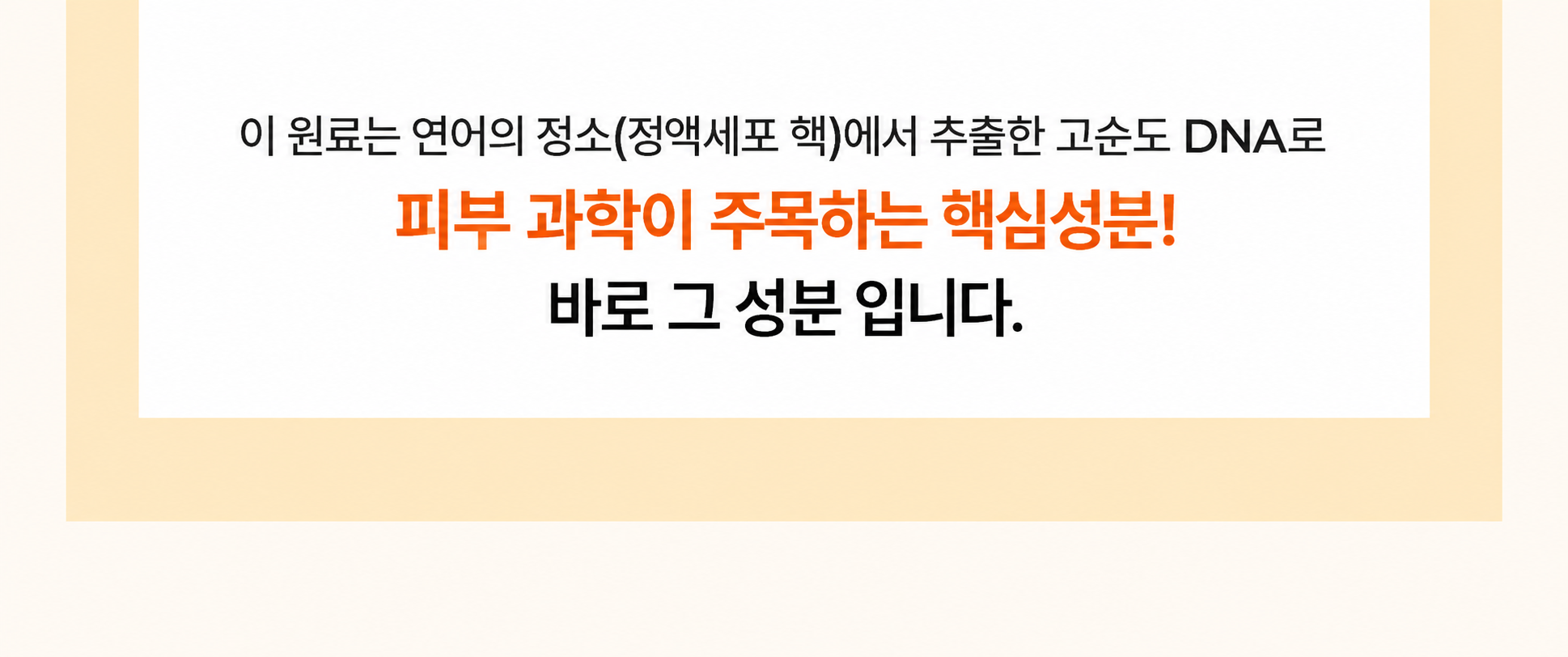 바이탈포션 슈퍼 레티알엔 앰플, 33ml, 1개 상세정보 14