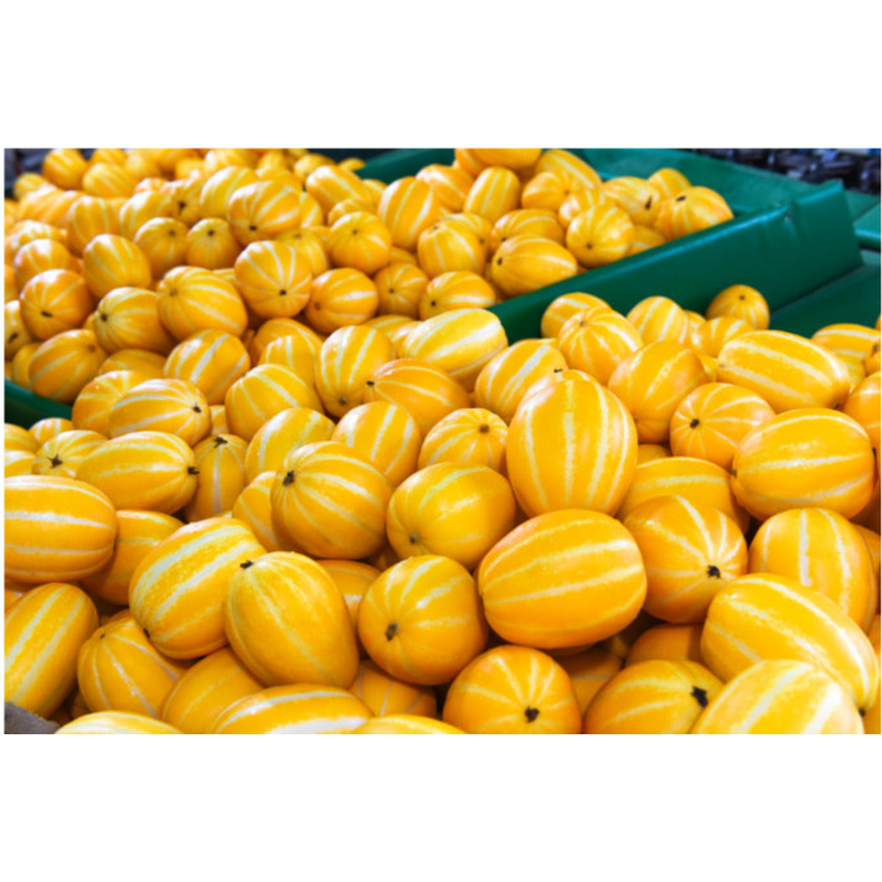 성주 꿀참외, 랜덤과, 5kg, 1박스 상품 이미지 6
