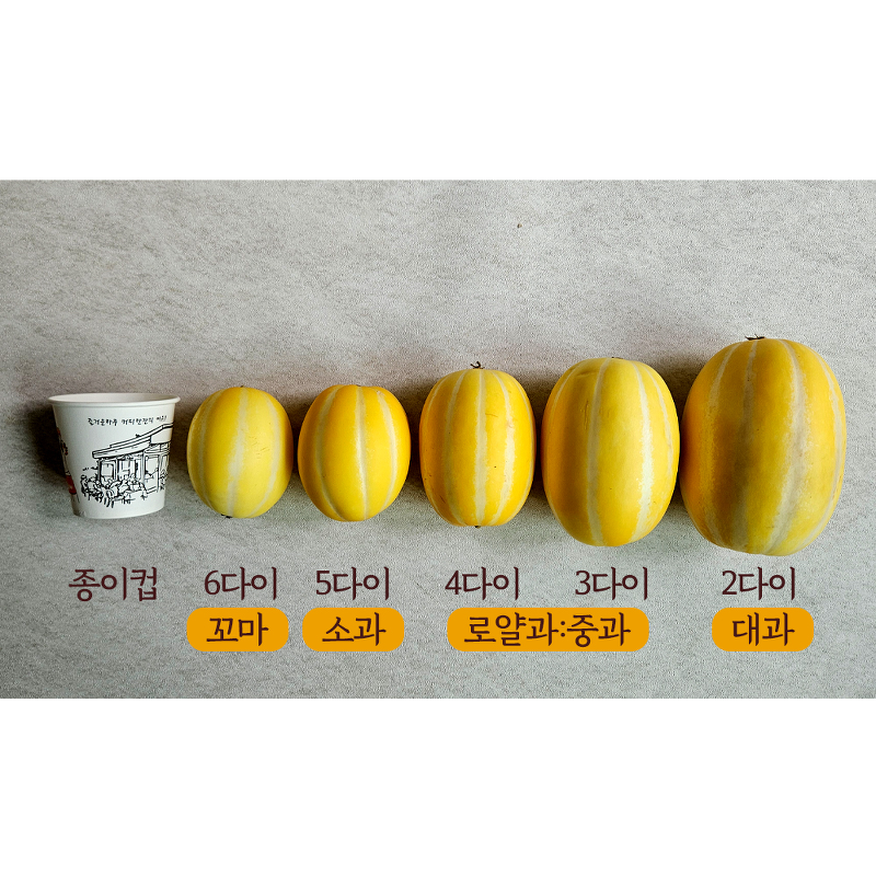 성주 꿀참외, 못난이, 랜덤혼합, 10kg, 1박스 상품 이미지 3