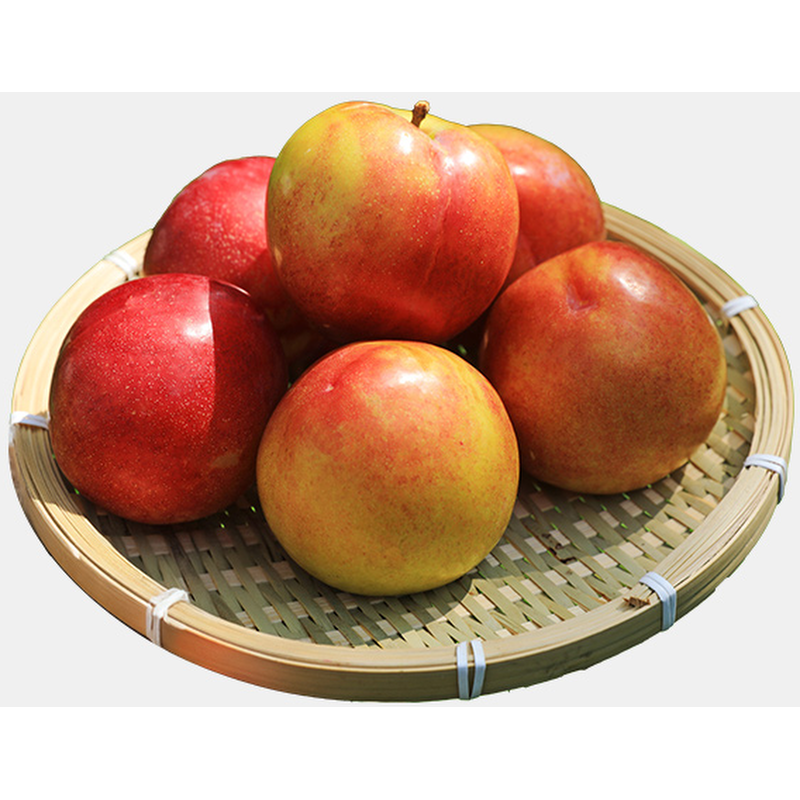 경북 자두, 개당 40g내외, 1kg, 1개 상품 이미지 7