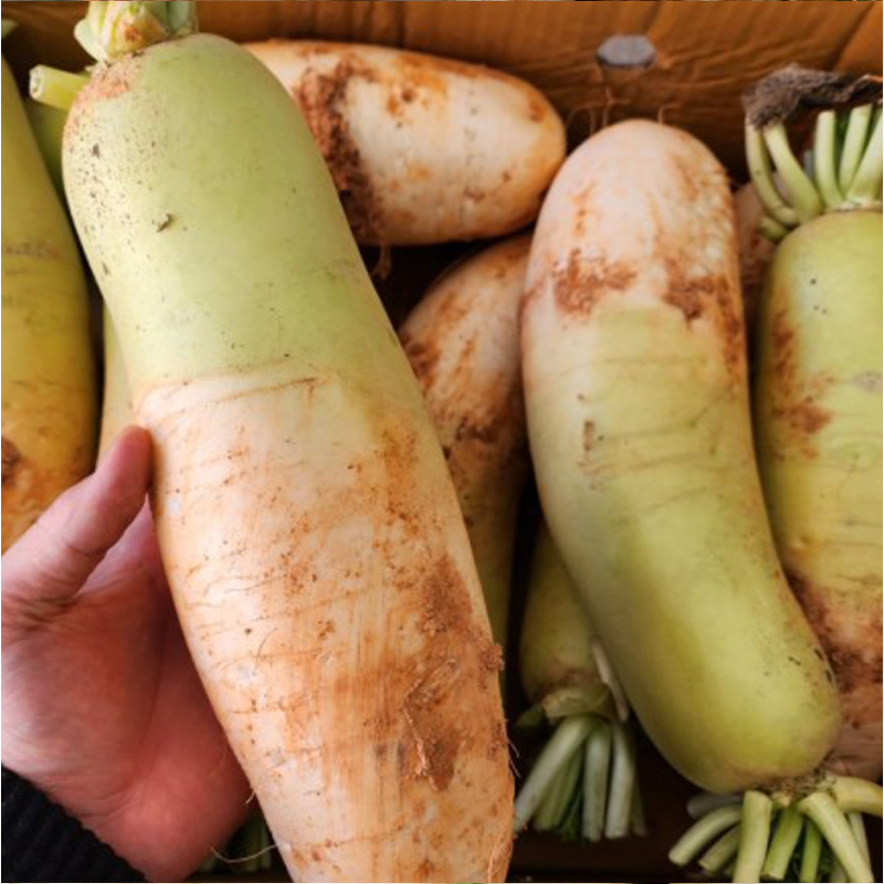 흙무, 5kg, 1개 상품 이미지 3