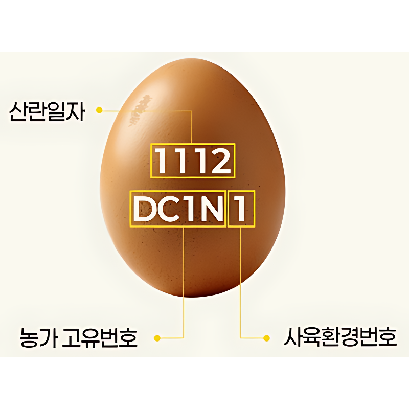 난각번호1번 유정란 달걀 자연방사 계란, 60구, 1박스 상품 이미지 7