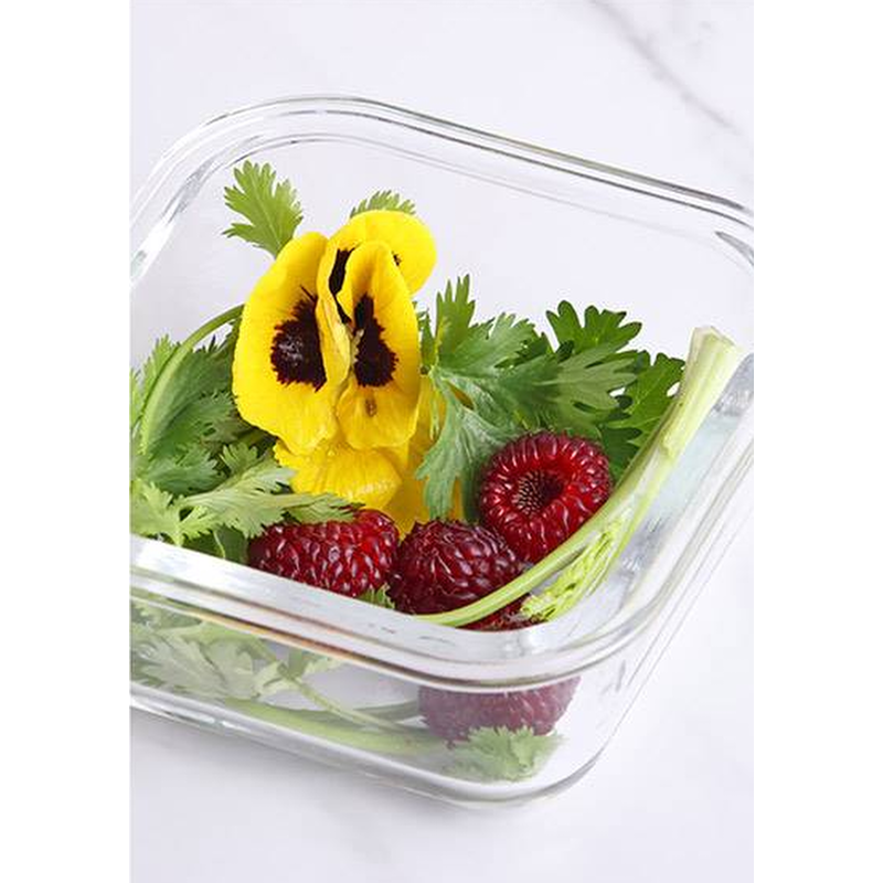 쉬젤 아티 내열유리 혼합 10종 세트, 320ml 3개 + 400ml 3개 + 520ml 2개 + 640ml 2개, 1세트 상품 이미지 3