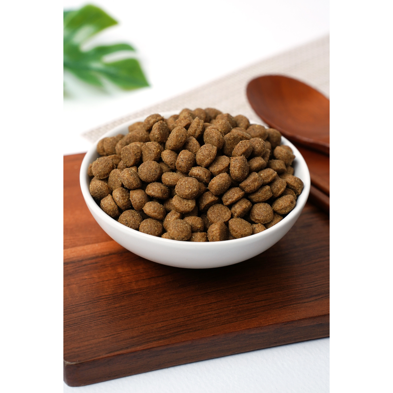 미소 강아지 기능성 사료, 장건강/유산균, 2kg, 1개 상품 이미지 9