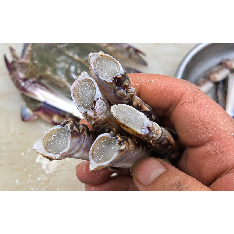 수율선별 활 숫꽃게 대짜, 3-5미 내외, 1kg, 1개 상품 이미지 4