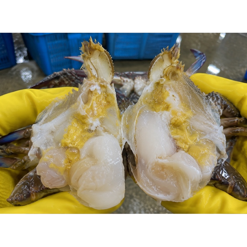 수율선별 활 숫꽃게 대짜, 3-5미 내외, 1kg, 1개 상품 이미지 3