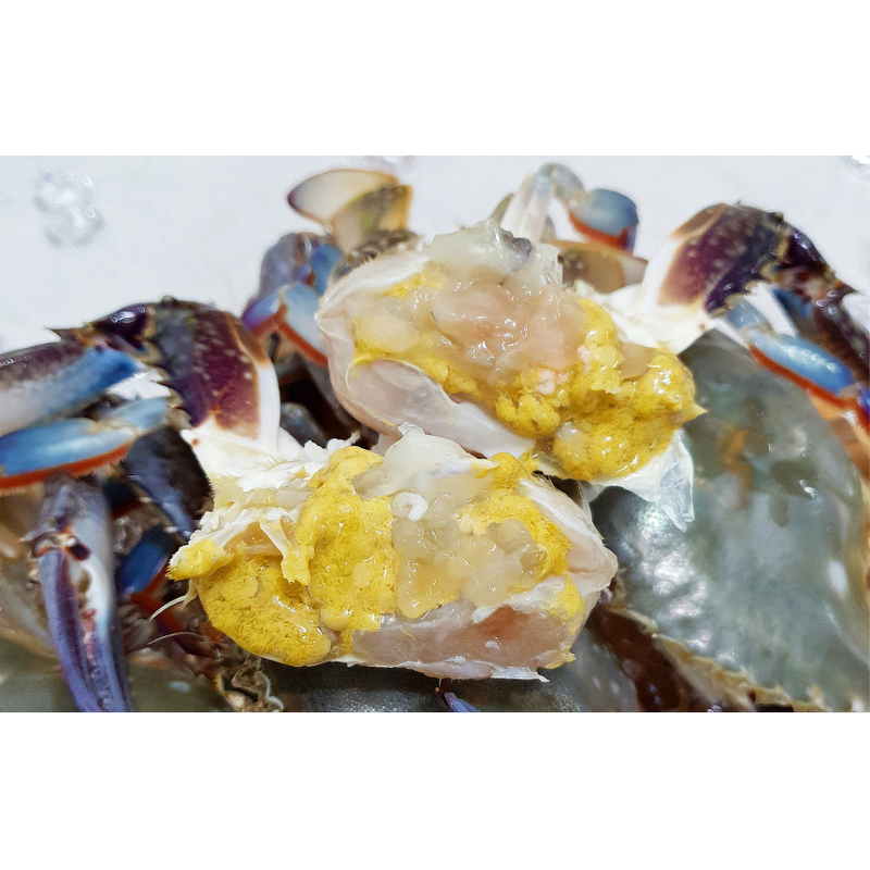 파인밀 제철 활 숫꽃게, 중짜, 1kg당 4-6미, 2kg, 1개 상품 이미지 5