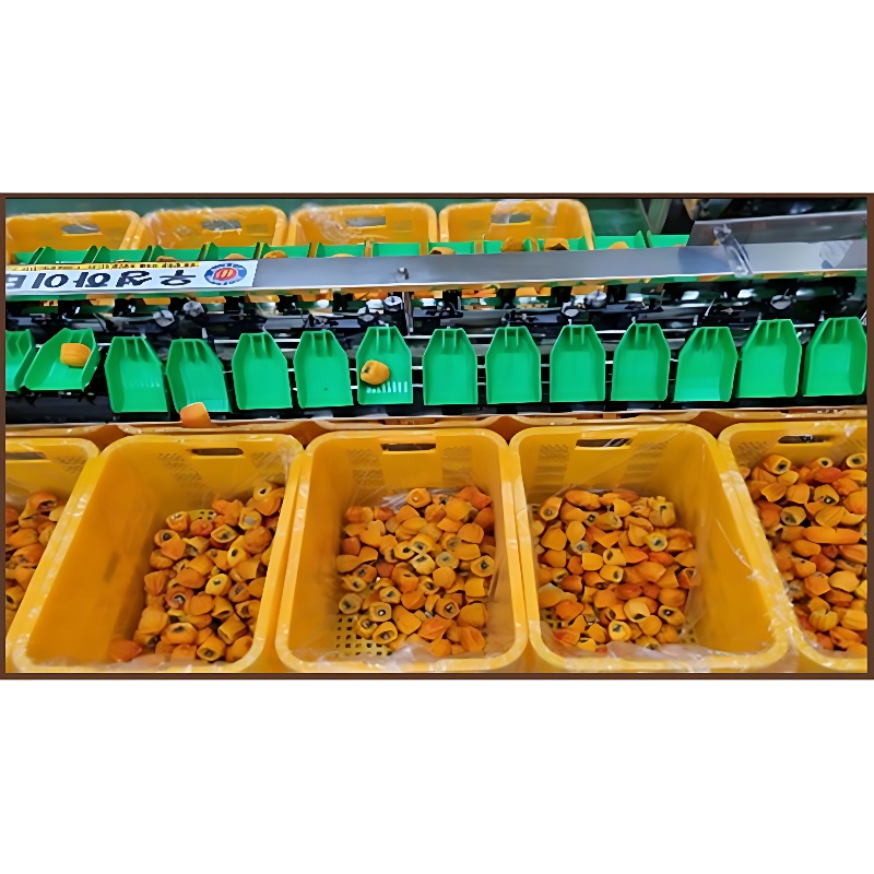 달콤쫀득 영동 상주 햇곶감, 500g, 3봉 상품 이미지 6