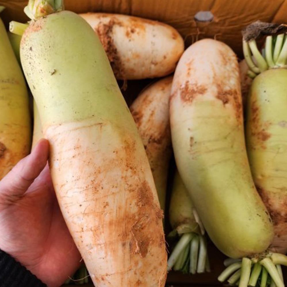 흙무, 5kg, 1개 상품 이미지 3