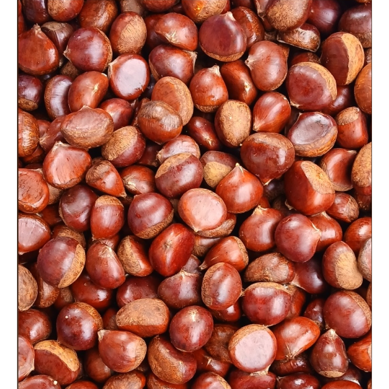 햇밤 5kg 1박스 21,400원, 가성비 스펙과 보관 요건 비교 분석 2