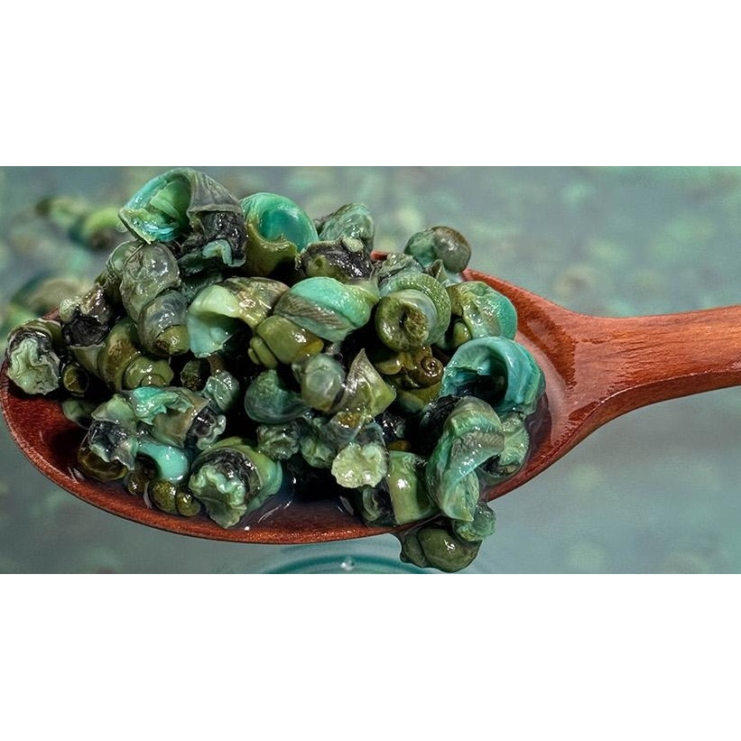 동강 자연산 손질 깐다슬기, 300g, 3팩 상품 이미지 4