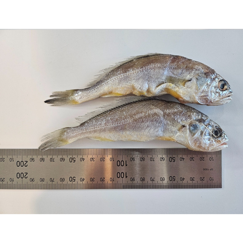 법성포 정품 영광 굴비, 18cm 내외, 1.2-1.3kg, 20마리 상품 이미지 7