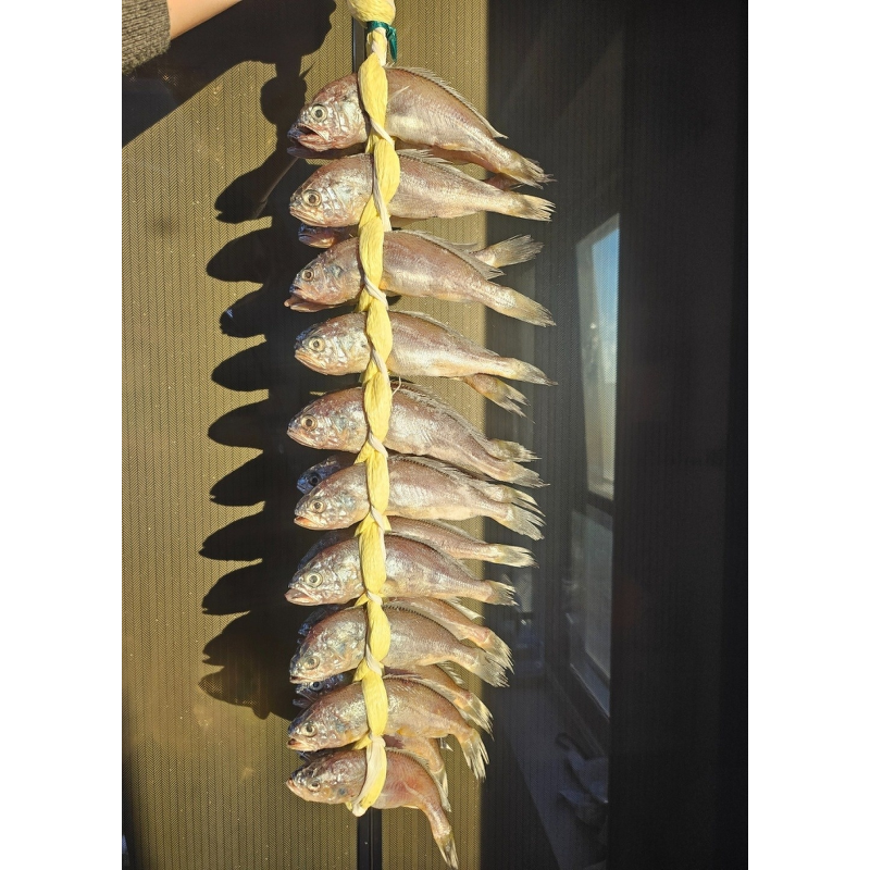 법성포 정품 영광 굴비, 18cm 내외, 1.2-1.3kg, 20마리 상품 이미지 2
