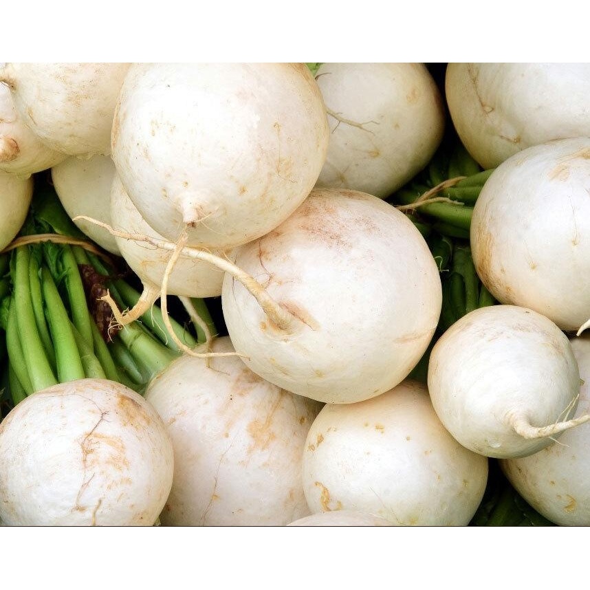 흙무, 5kg, 1개 상품 이미지 2