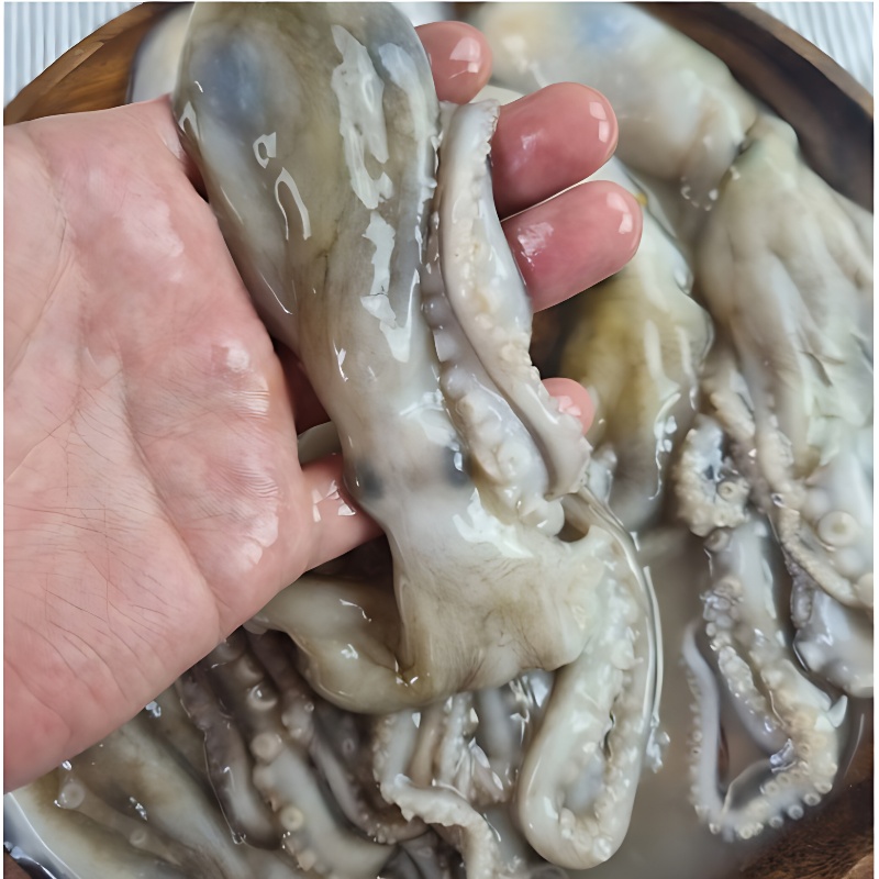 대짜 낙지, 1kg, 6마리, 1개 상품 이미지 3