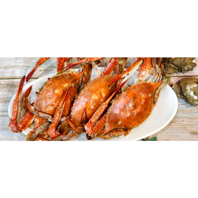 찬바다 국내산 생물 숫꽃게, 1kg, 1세트 상품 이미지 6