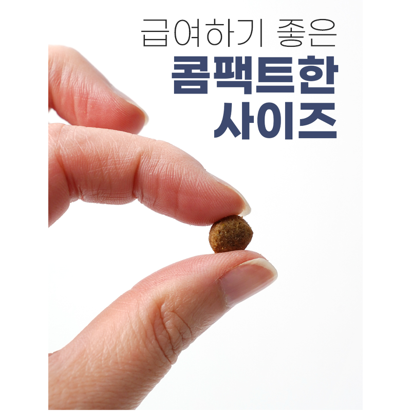 미소 강아지 기능성 사료, 장건강/유산균, 2kg, 1개 상품 이미지 13