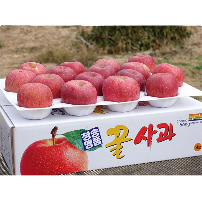 청송 햇 홍로 사과, 대과, 5kg, 1박스 상품 이미지 4