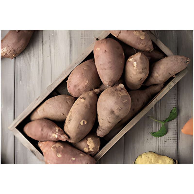 해남 꿀고구마 베니하루카, 한입, 2kg, 1개 상품 이미지 7