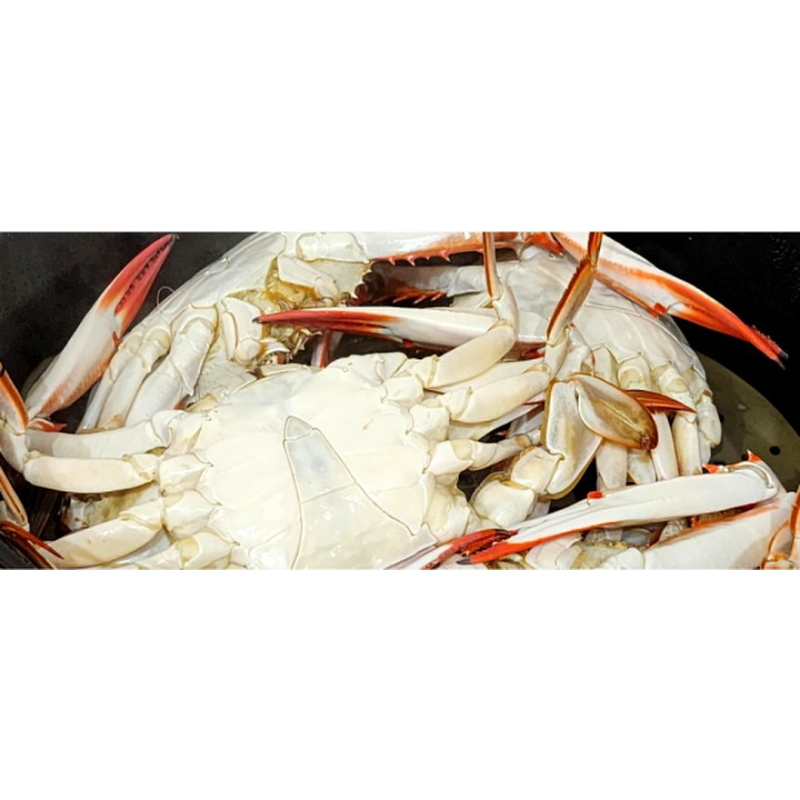 찬바다 국내산 생물 숫꽃게, 1kg, 1세트 상품 이미지 3