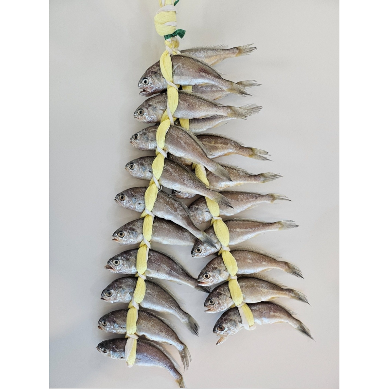 법성포 정품 영광 굴비, 18cm 내외, 1.2-1.3kg, 20마리 상품 이미지 3