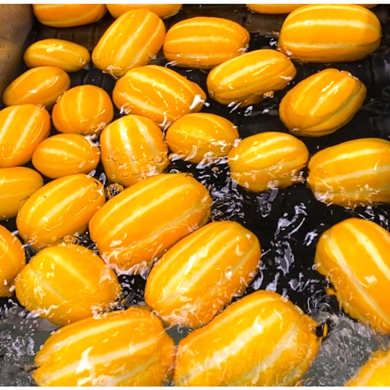 성주 꿀참외, 못난이, 랜덤혼합, 10kg, 1박스 상품 이미지 8