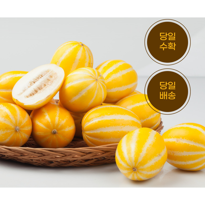 성주 꿀참외, 랜덤과, 5kg, 1박스 상품 이미지 2