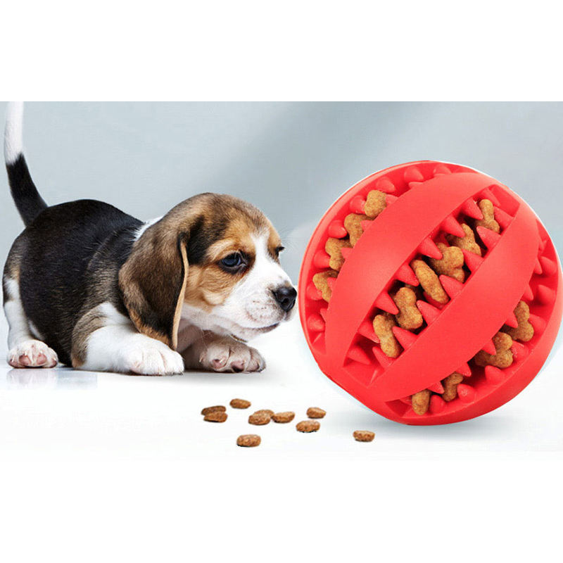 강아지 간식공 노즈워크 스낵볼, 블루, 5cm, 1개 상품 이미지 2