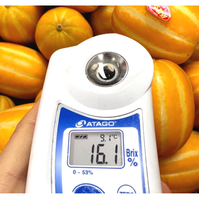 성주 꿀참외, 랜덤과, 5kg, 1박스 상품 이미지 4
