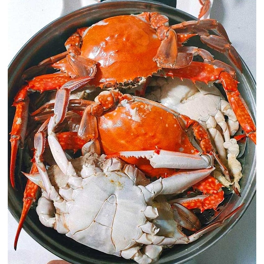 청춘농가 활숫꽃게, 1kg, 1박스 상품 이미지 2