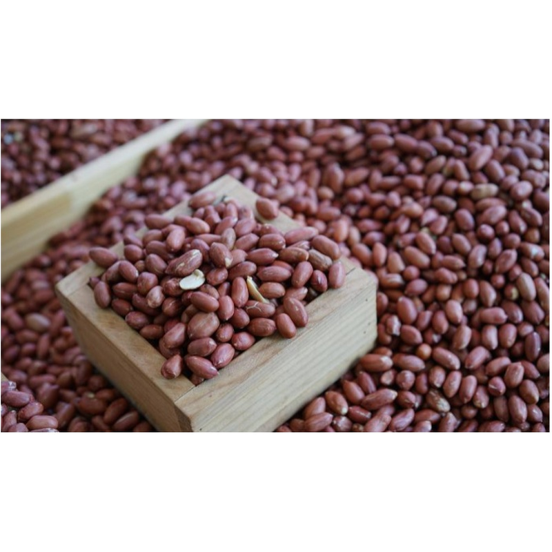 볶은 땅콩 레드땅콩, 500g, 2봉 상품 이미지 4