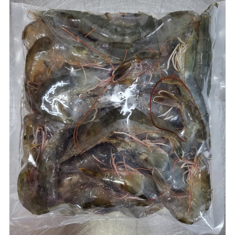 통영 횟감 활새우 1kg 주문 전 실패 줄이는 체크 포인트 4