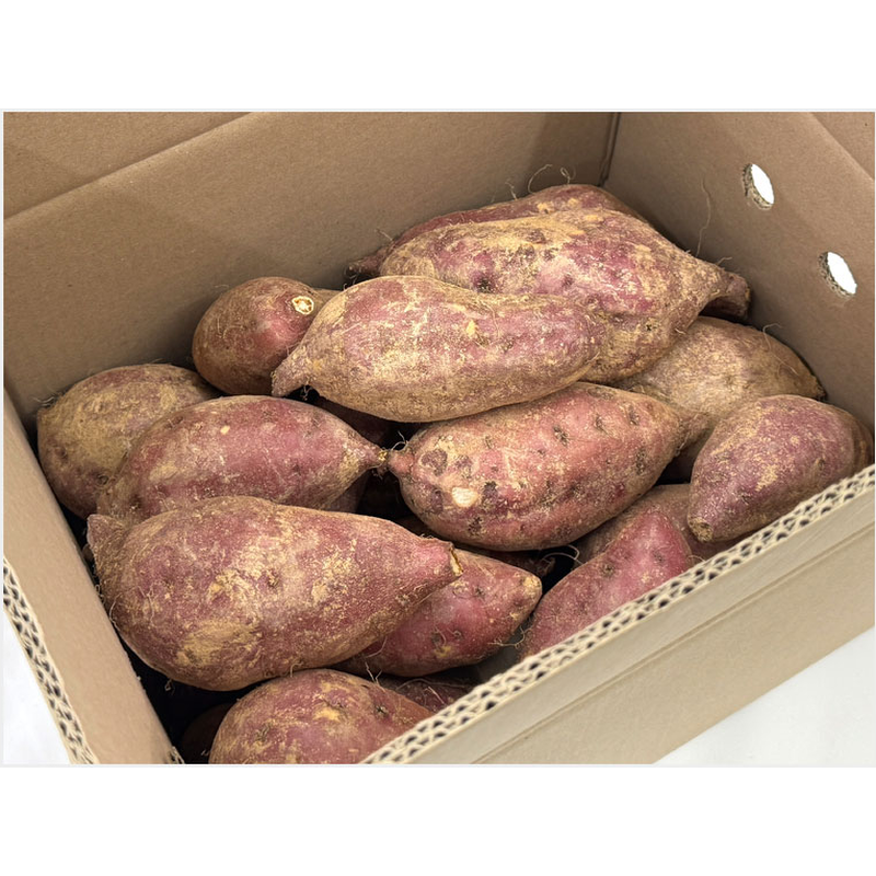 세상별미 호풍미고구마 당근고구마, 특상, 고당도, 햇, 산지직송, 3kg, 1개 상품 이미지 7