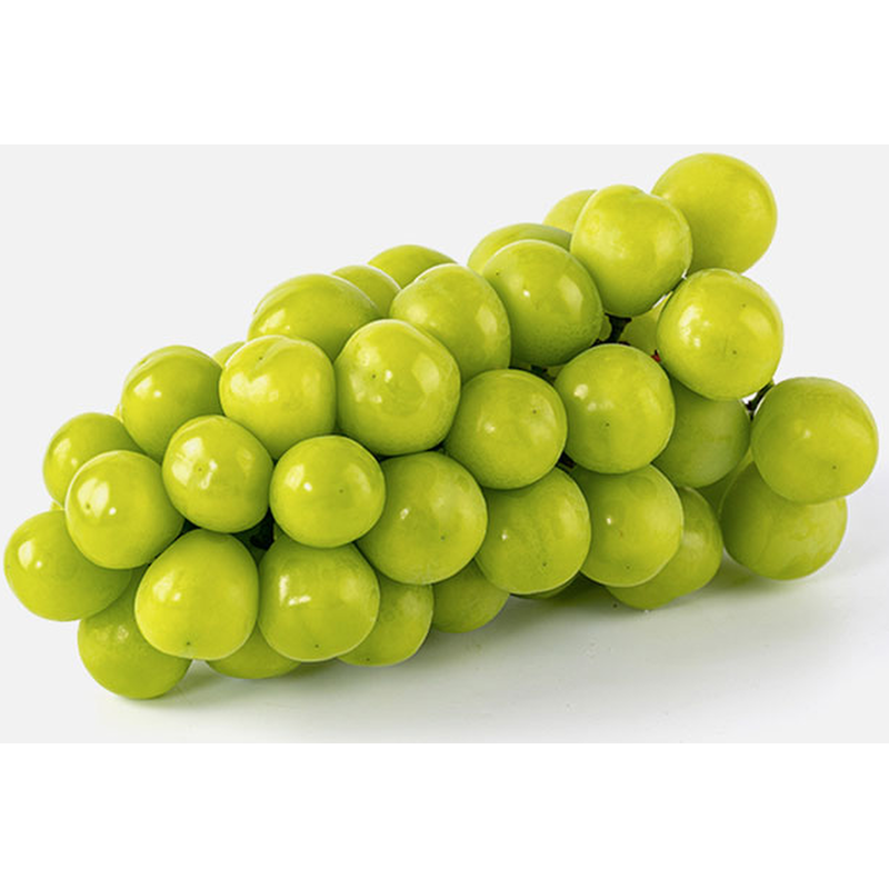 산지직송 고당도 샤인머스켓, 2kg, 1박스 상품 이미지 7