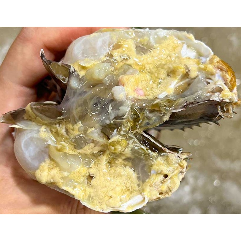 청춘농가 활숫꽃게, 1kg, 1박스 상품 이미지 5