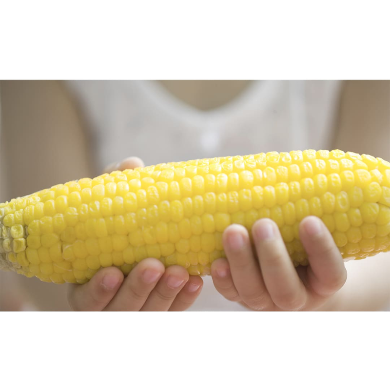 산해직송 쪄서가는 백찰옥수수, 특대, 10개 상품 이미지 3