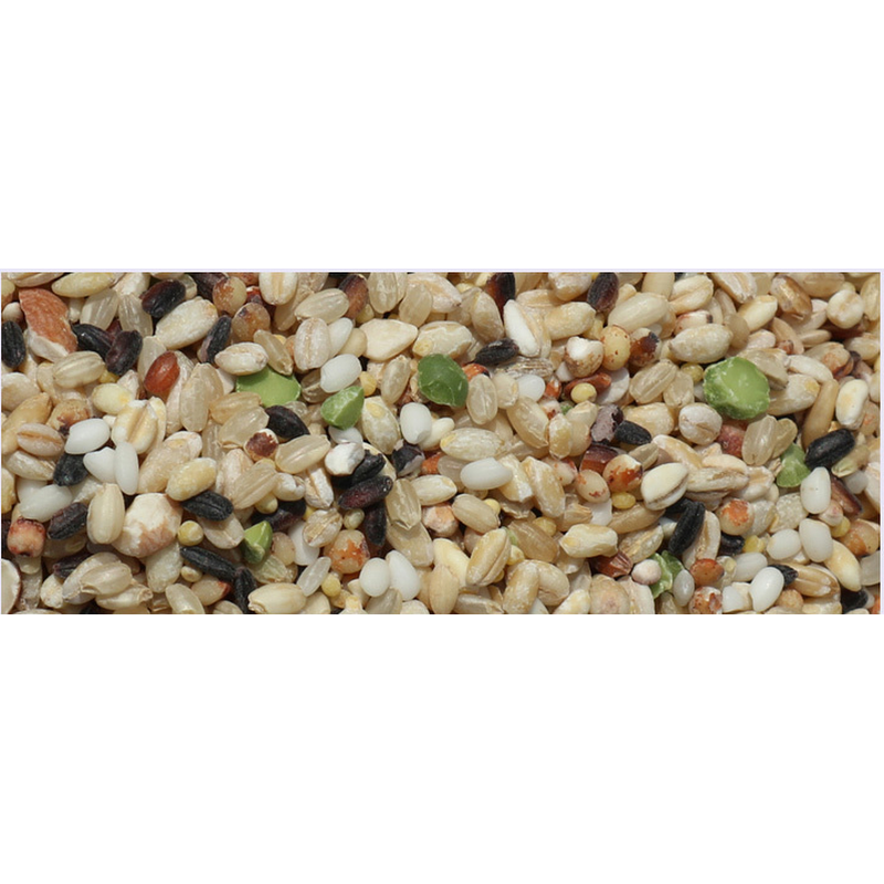 대한농산 맞춤 혼합곡 21곡, 2kg, 2개 상품 이미지 3