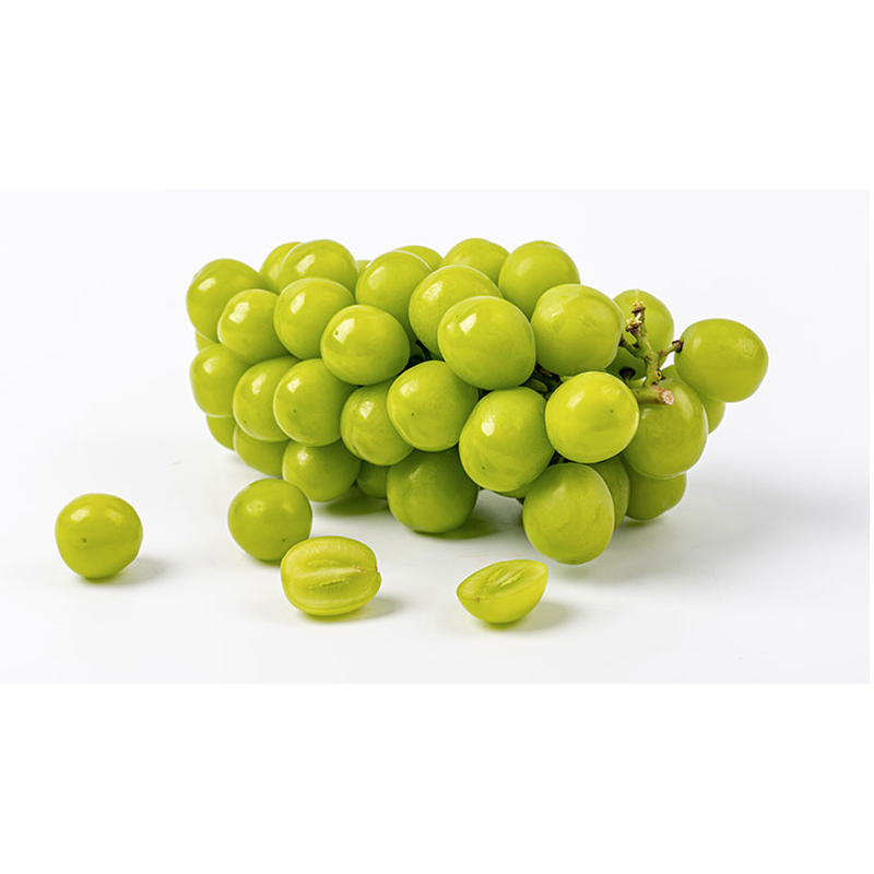 산지직송 고당도 샤인머스켓, 2kg, 1박스 상품 이미지 8