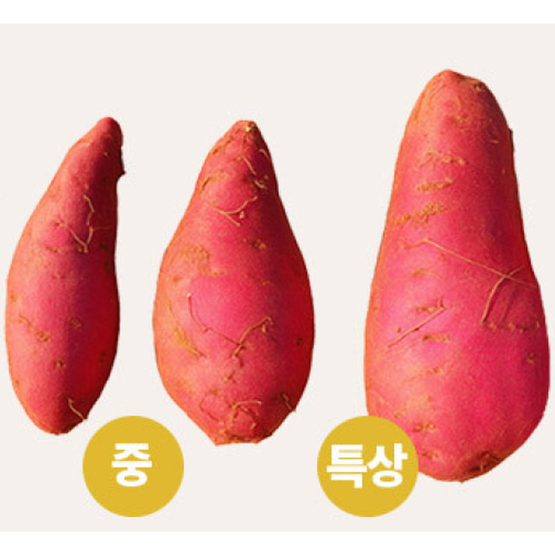 달콤고구마 해남 햇 황토 꿀고구마, 베니하루카, 대, 3kg, 1박스 상품 이미지 3