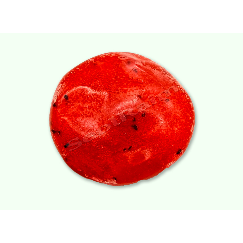 도로시팬시 수박 샤베트 슬랑이, 빨강, 150g, 1개 상품 이미지 4