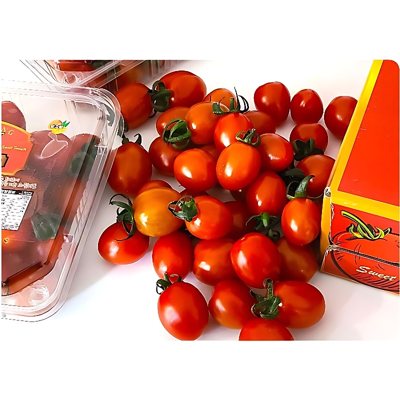 과일꾼 스테비아 레드 방울토마토, 500g, 4팩 상품 이미지 5