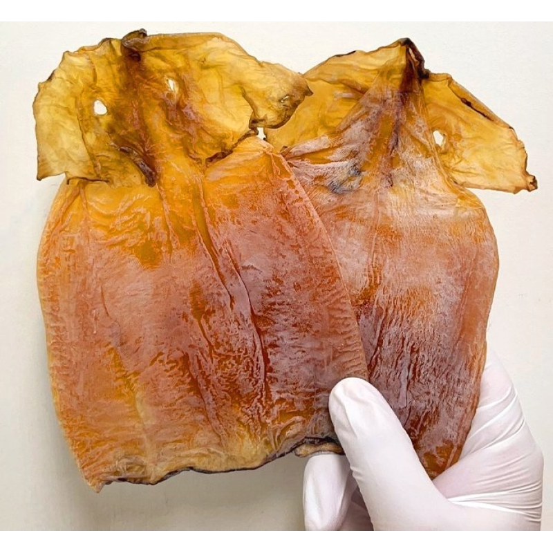 순살 몸통 오징어, 3-5미, 150g, 1봉 상품 이미지 7