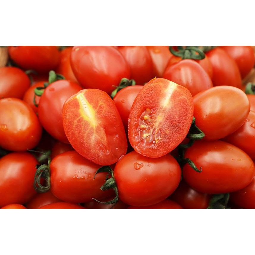 과일꾼 스테비아 레드 방울토마토, 500g, 4팩 상품 이미지 7
