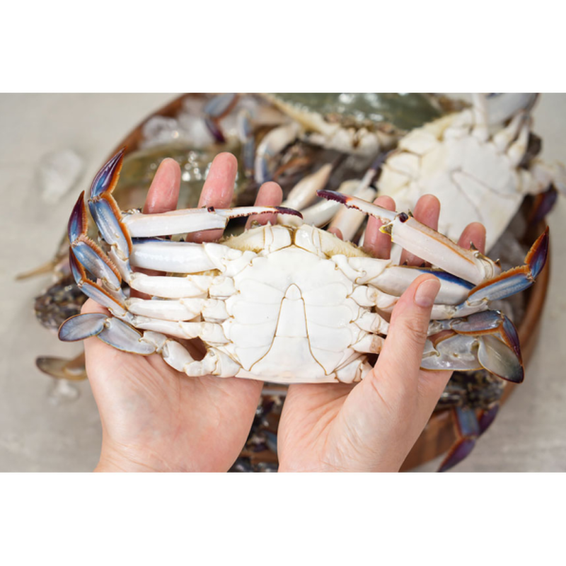 청춘농가 활숫꽃게, 1kg, 1박스 상품 이미지 2