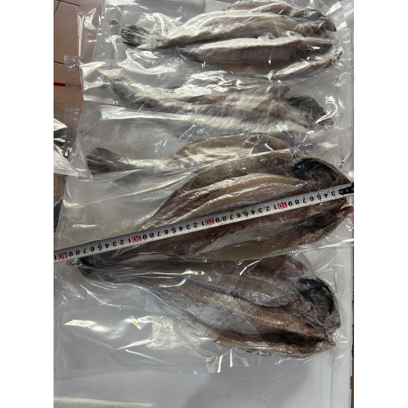 반건조 민어, 특왕, 37cm급, 300g, 5팩 상품 이미지 6