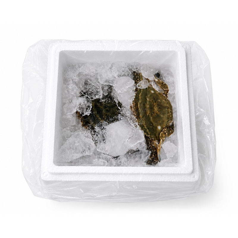 수산특공대 서해안 활 숫꽃게, 3-5미, 1kg, 1개 상품 이미지 2