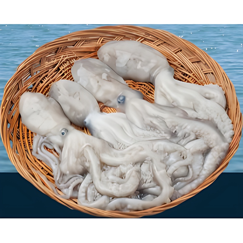 대짜 낙지, 1kg, 6마리, 1개 상품 이미지 6