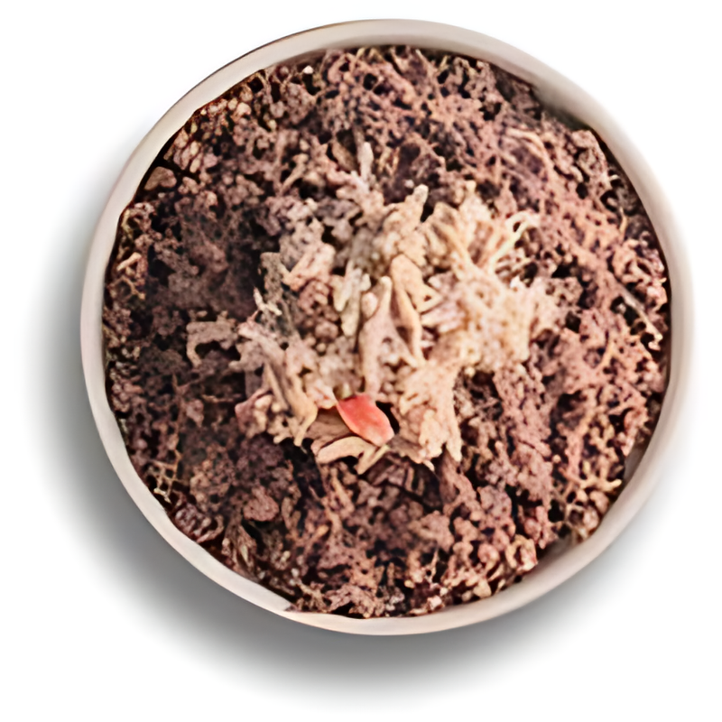 옵티원 부스트캣, 참치 12캔 + 연어 6캔 + 맛살 6캔, 160g, 24캔 상품 이미지 2