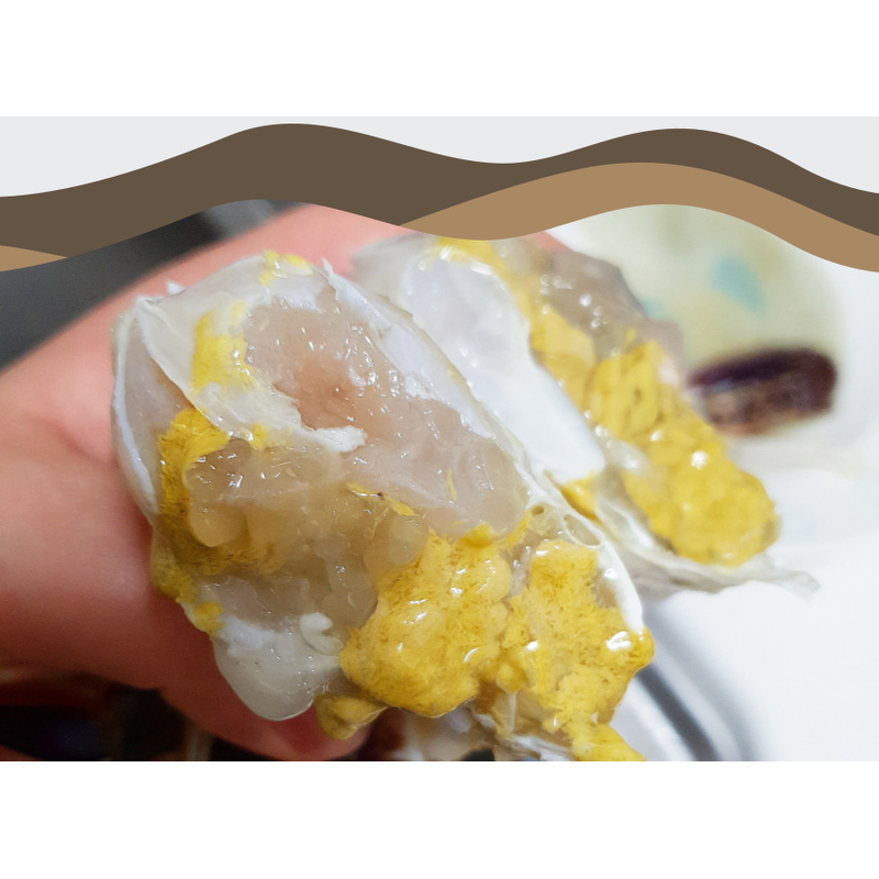 파인밀 제철 활 숫꽃게, 중짜, 1kg당 4-6미, 2kg, 1개 상품 이미지 3