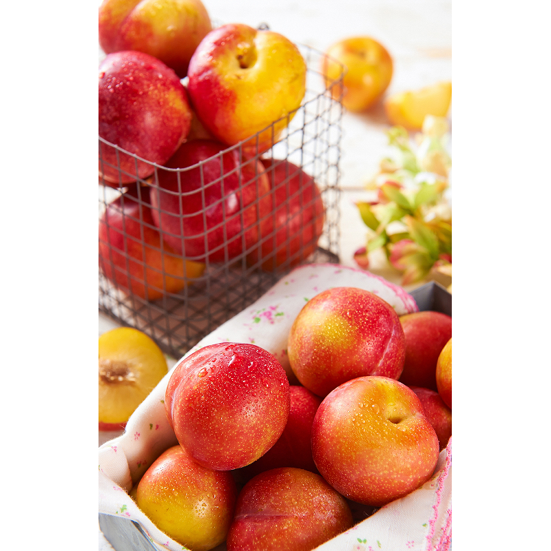 경북 자두, 개당 40g내외, 1kg, 1개 상품 이미지 6